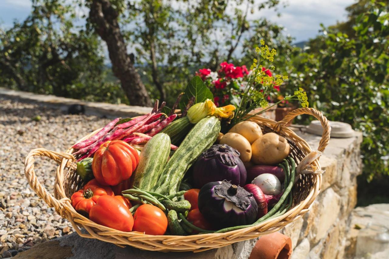 Agriturismo Le Fonti 폰타씨에베 외부 사진