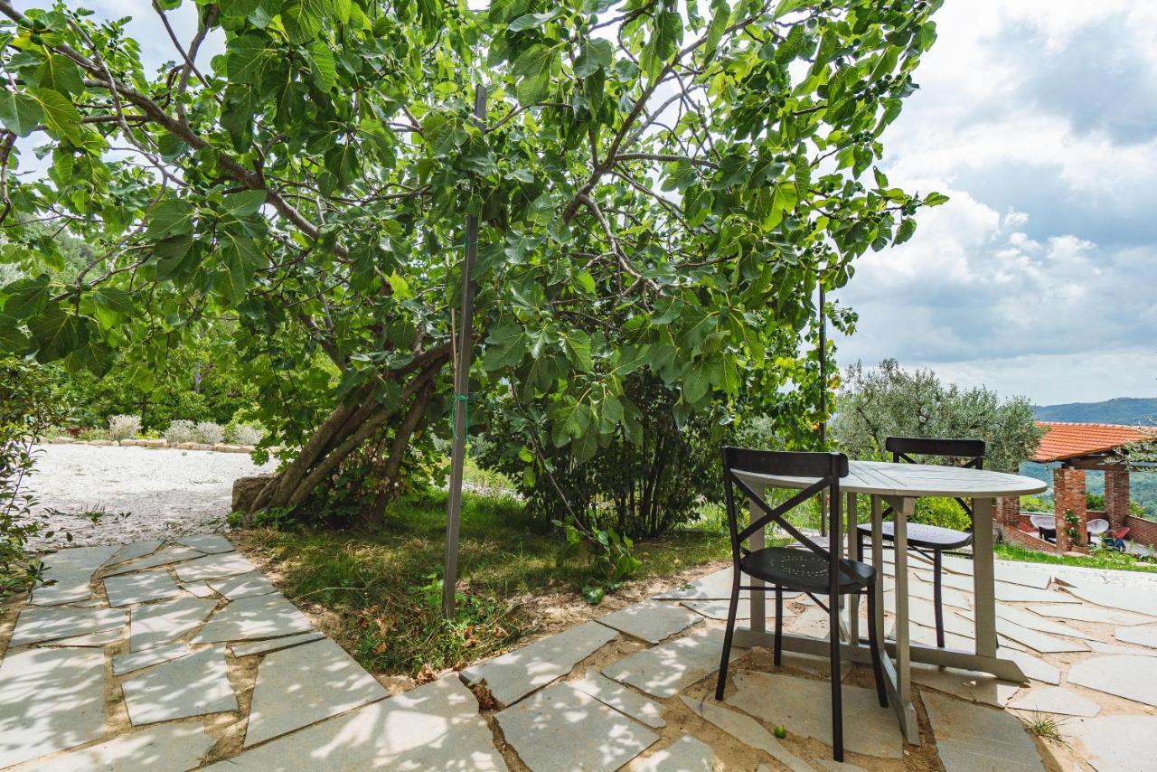 Agriturismo Le Fonti 폰타씨에베 외부 사진